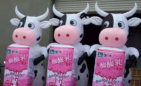 锦屏牛奶厂广告气模